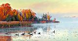 Misty Rideau Canal At Sunrise_P1210156